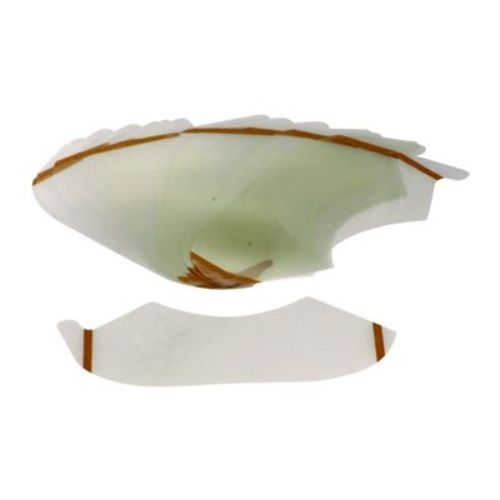lc mylar lens cover/spectrum